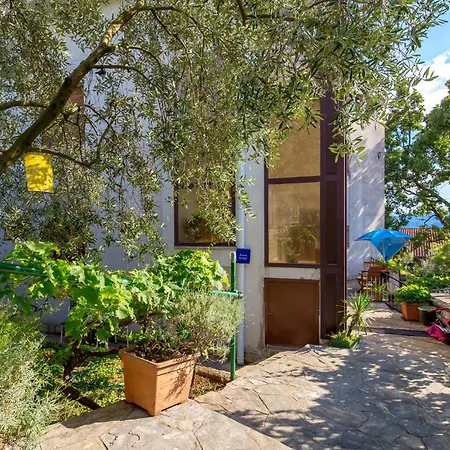 Apartamento Gorgeous In With Wifi *